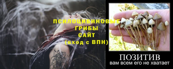 круглые Алексеевка